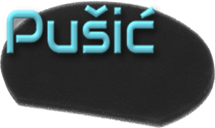 BSH12022750PUSIC